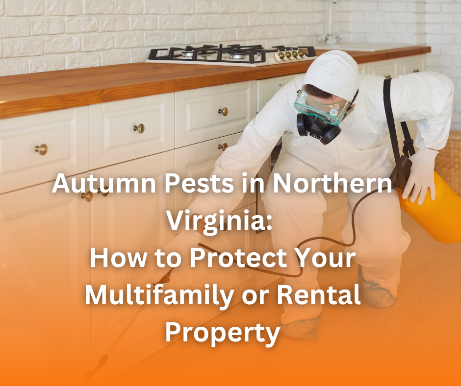 Autumn Pests in Northern Virginia: How to Protect Your Multifamily or Rental Property